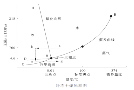 冻干食品